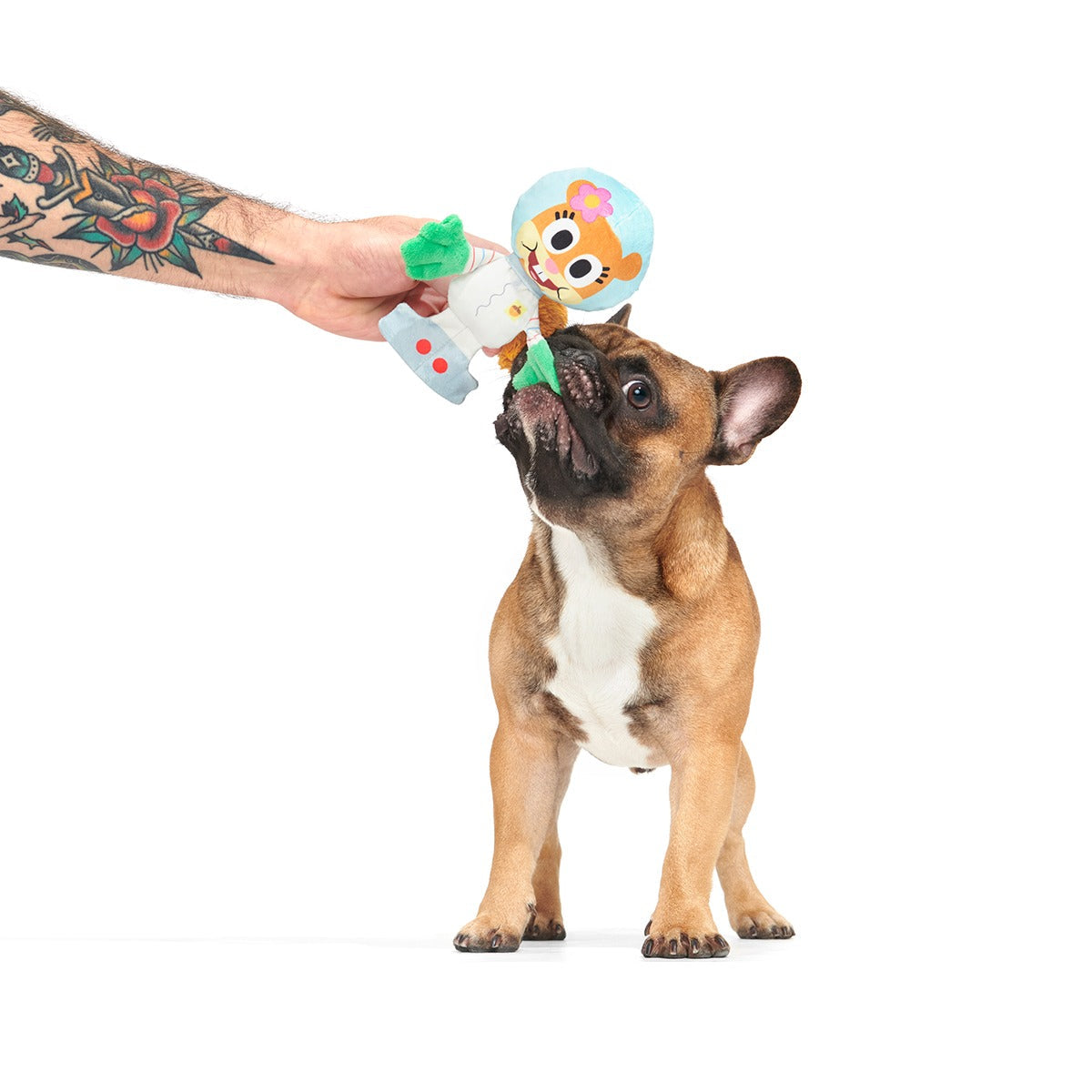 Kah-Rah-Tay Chomp Sandy Plush Tug Dog Toy