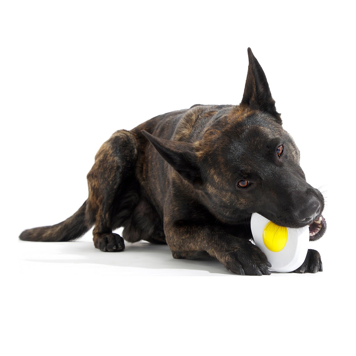 Egg Over Hard Super Chewer Durable Gnaw Dog Toy