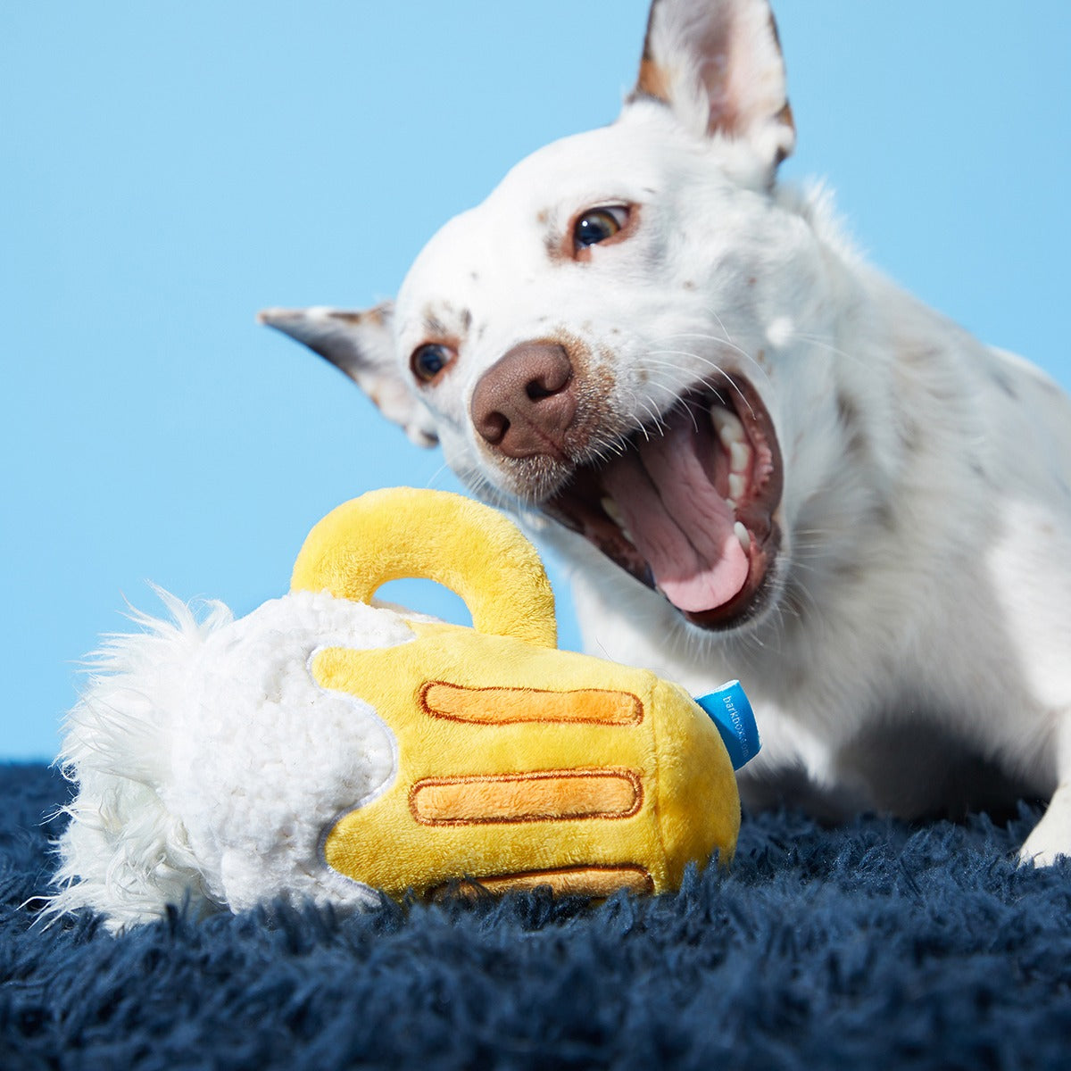 Hair of the Dog Plush 2-in-1 + Tug Dog Toy