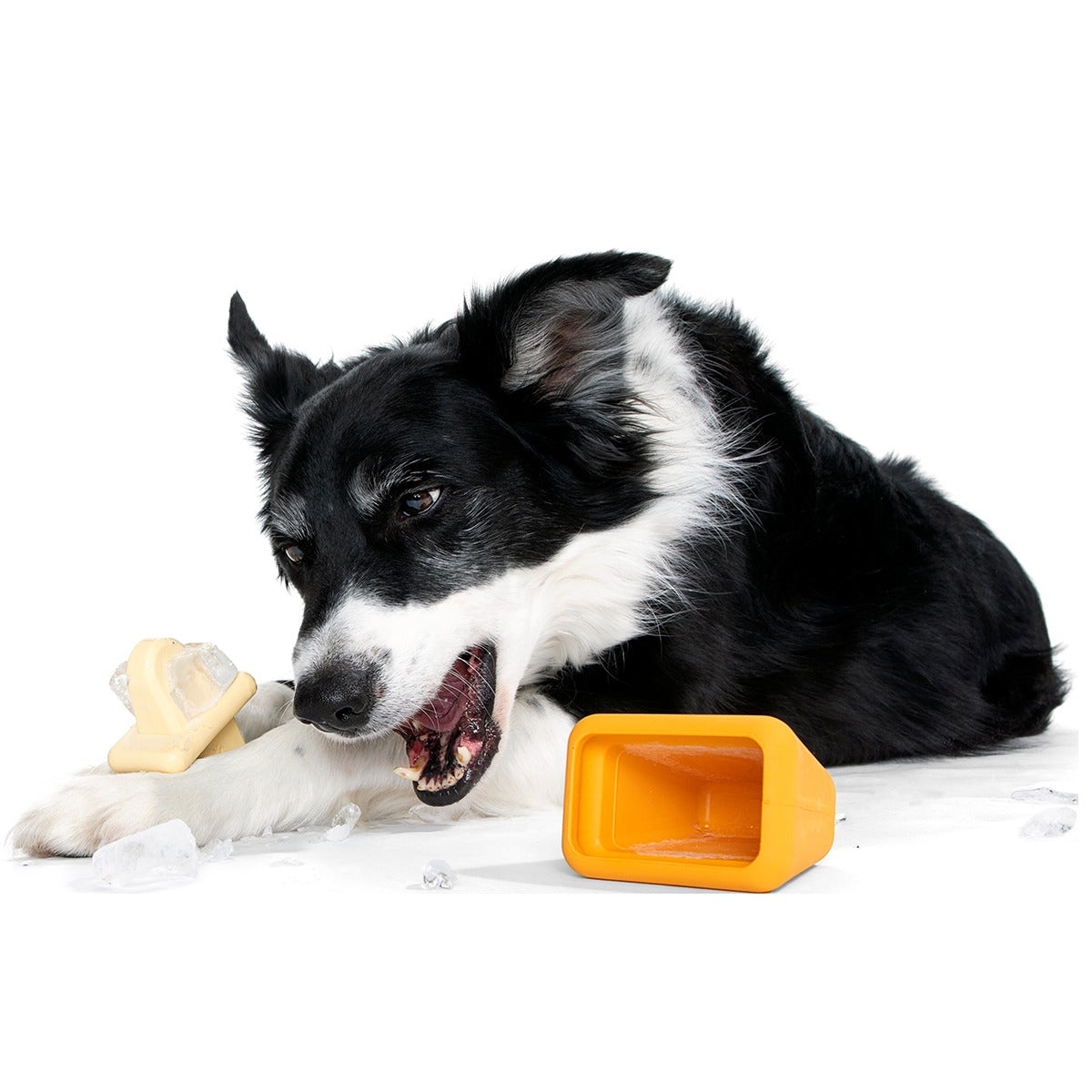Make n' Munch Ice Pop Kit Super Chewer Durable Multi-Part Dog Toy