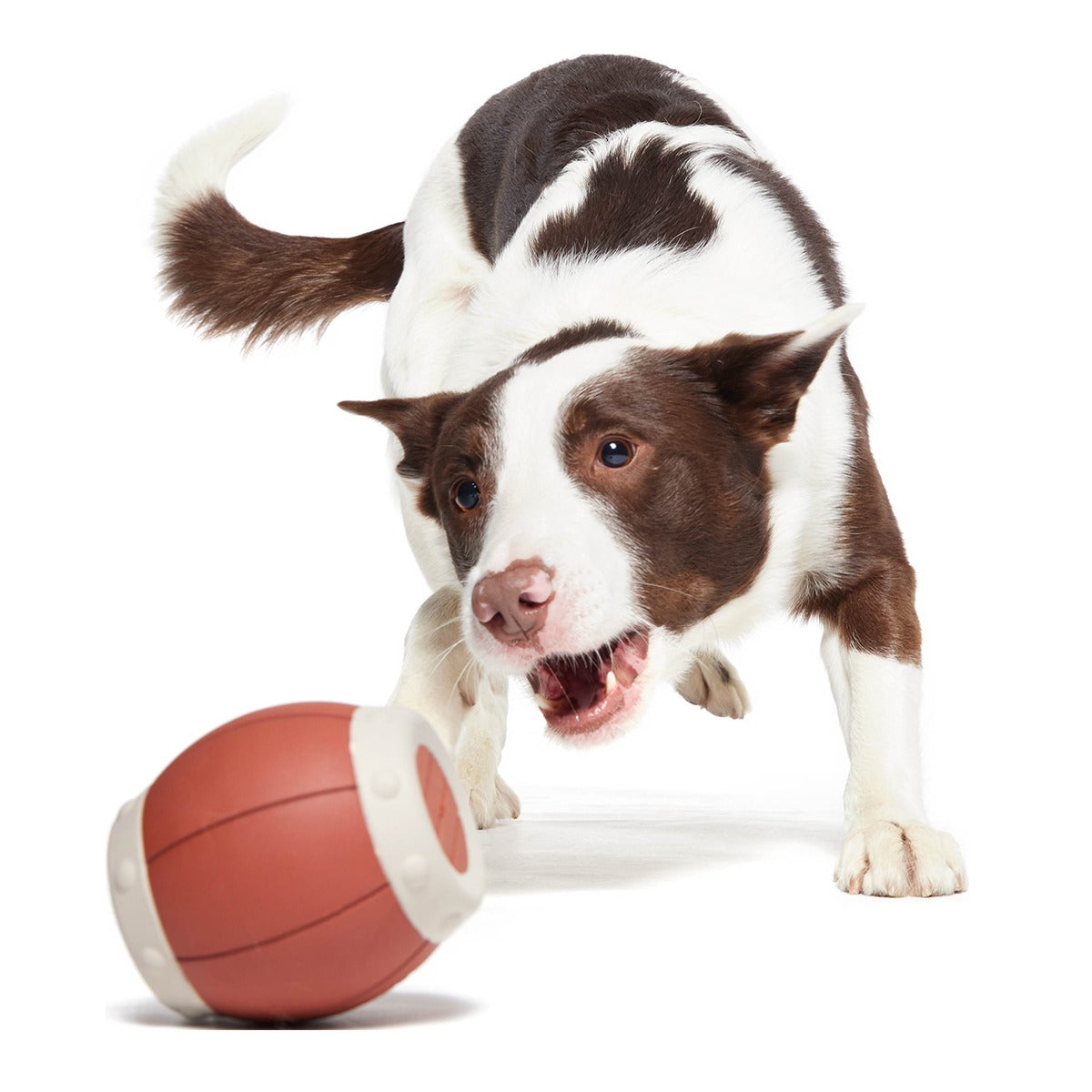 Roll Over A Barrel Super Chewer Durable Enrichment Dog Toy