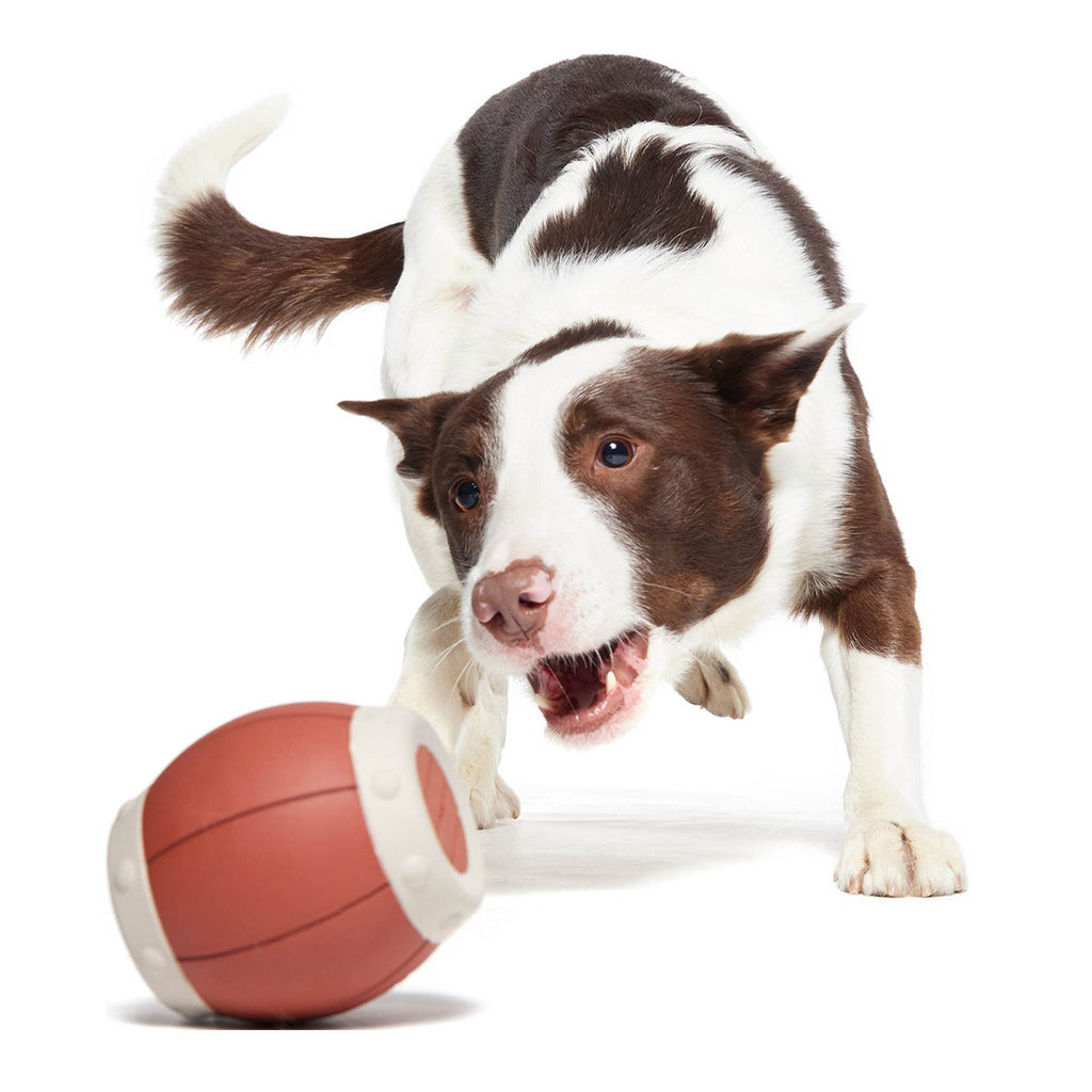 Roll Over A Barrel Super Chewer Durable Enrichment Dog Toy