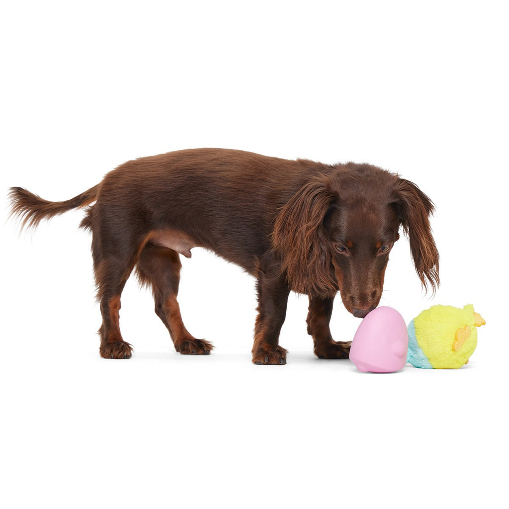 Good Hare Day Chick Super Chewer Durable 2-in-1 + Tug Dog Toy