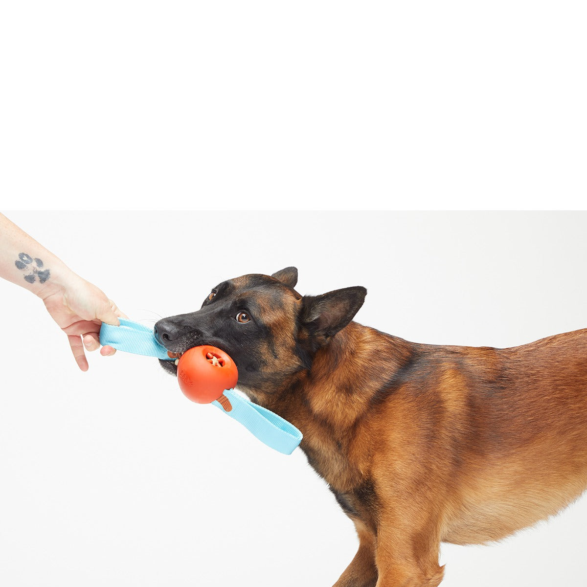 One Bad Apple Super Chewer Durable Tug + Enrichment Dog Toy