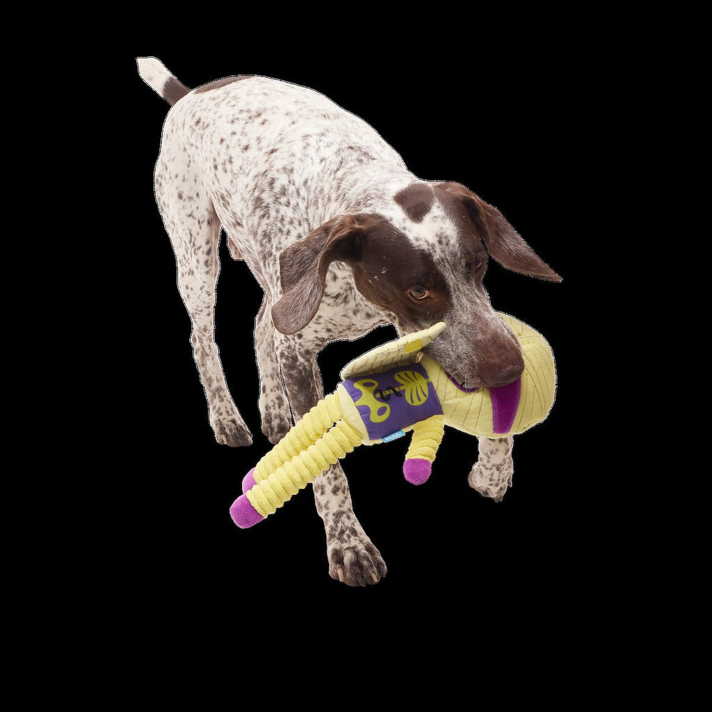 Unravelin’ Evan Plush Extra Large + Tug Dog Toy