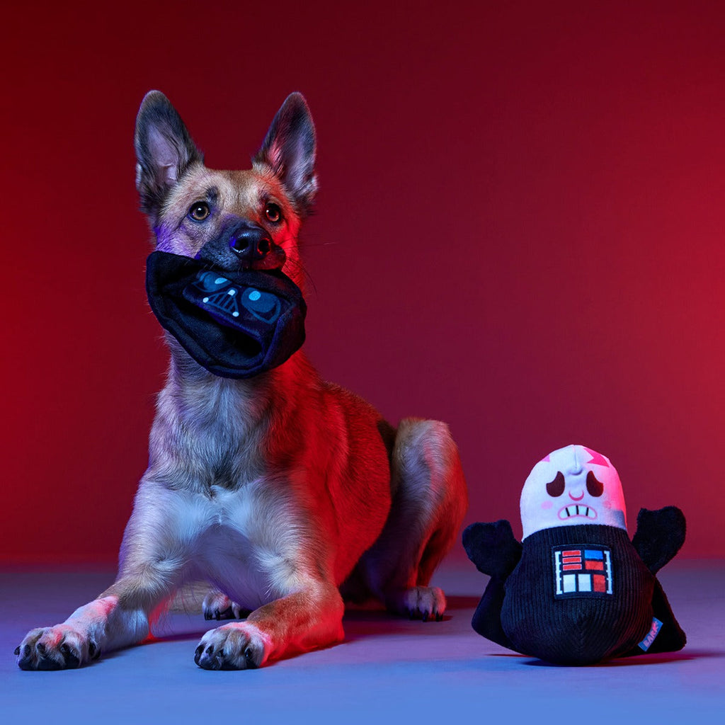 Star WarsTM BarkBox - One Month Gift Box