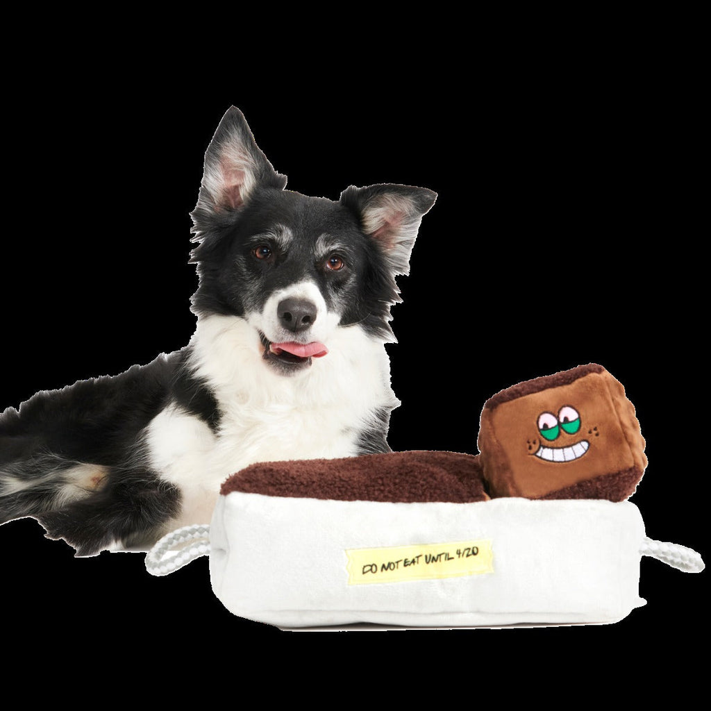 Cosmutt Brownies