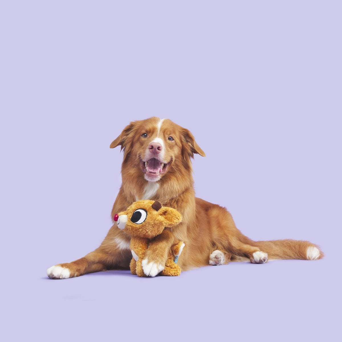 Rudolph the Red-Nosed Reindeer® Plush Tug Dog Toy