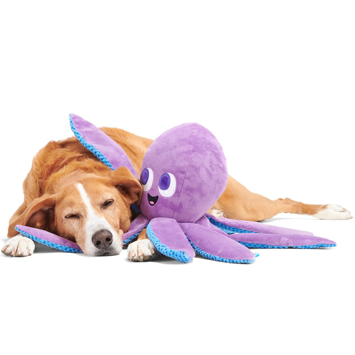 Mondo Ollie the Octopus Plush Tug + Extra-Large Dog Toy