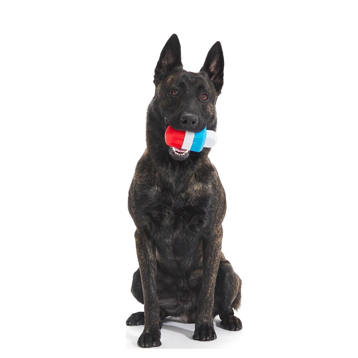 Red White + Chew Ice Pop Super Chewer Durable Gnaw Dog Toy