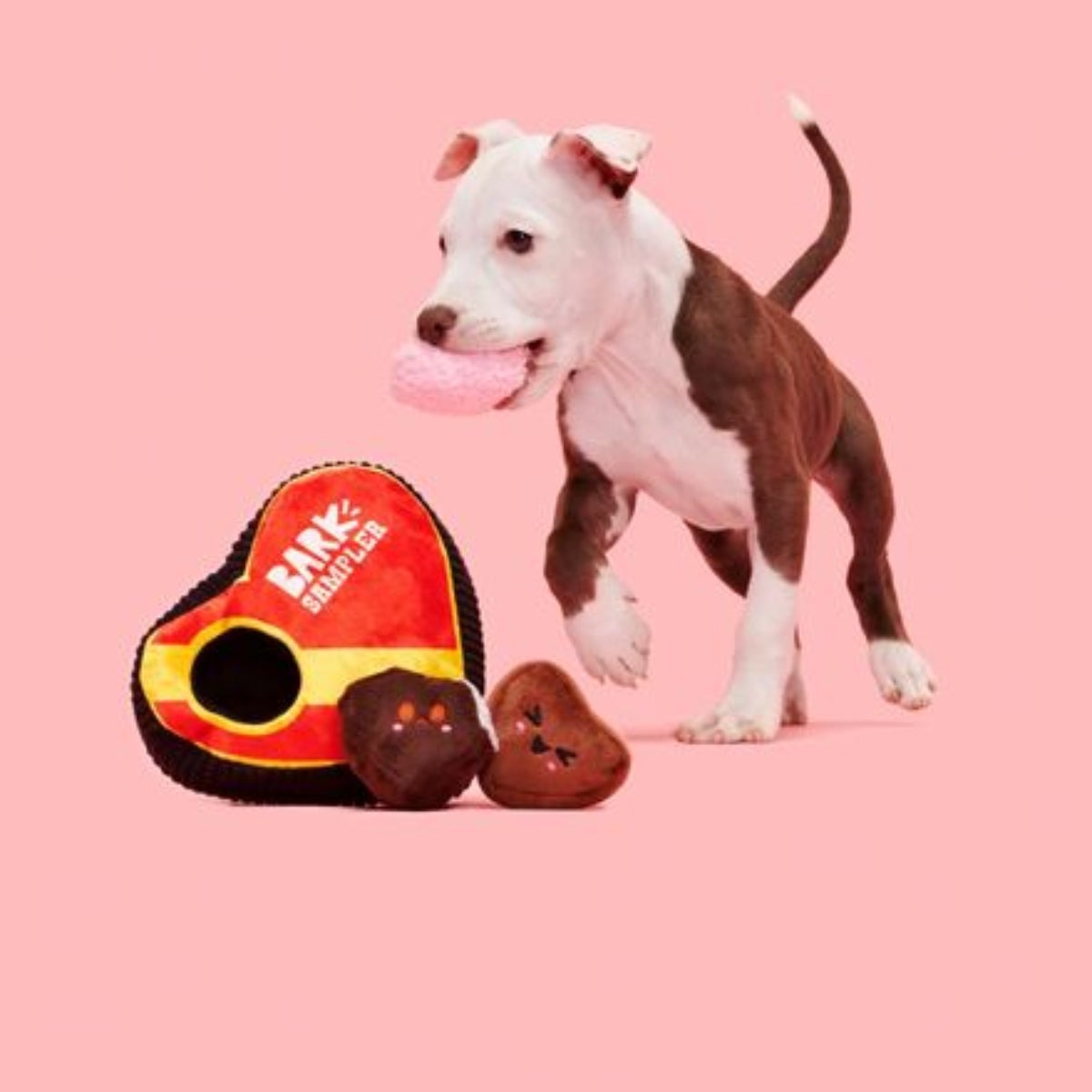Barks of Chocolates Plush Multi-Part + Enrichment Dog Toy