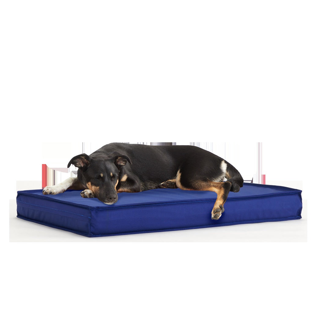 Outdoor Dog Bed