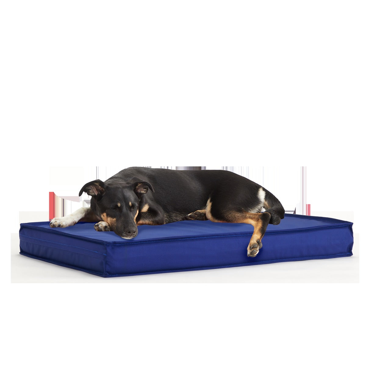Outdoor Dog Bed
