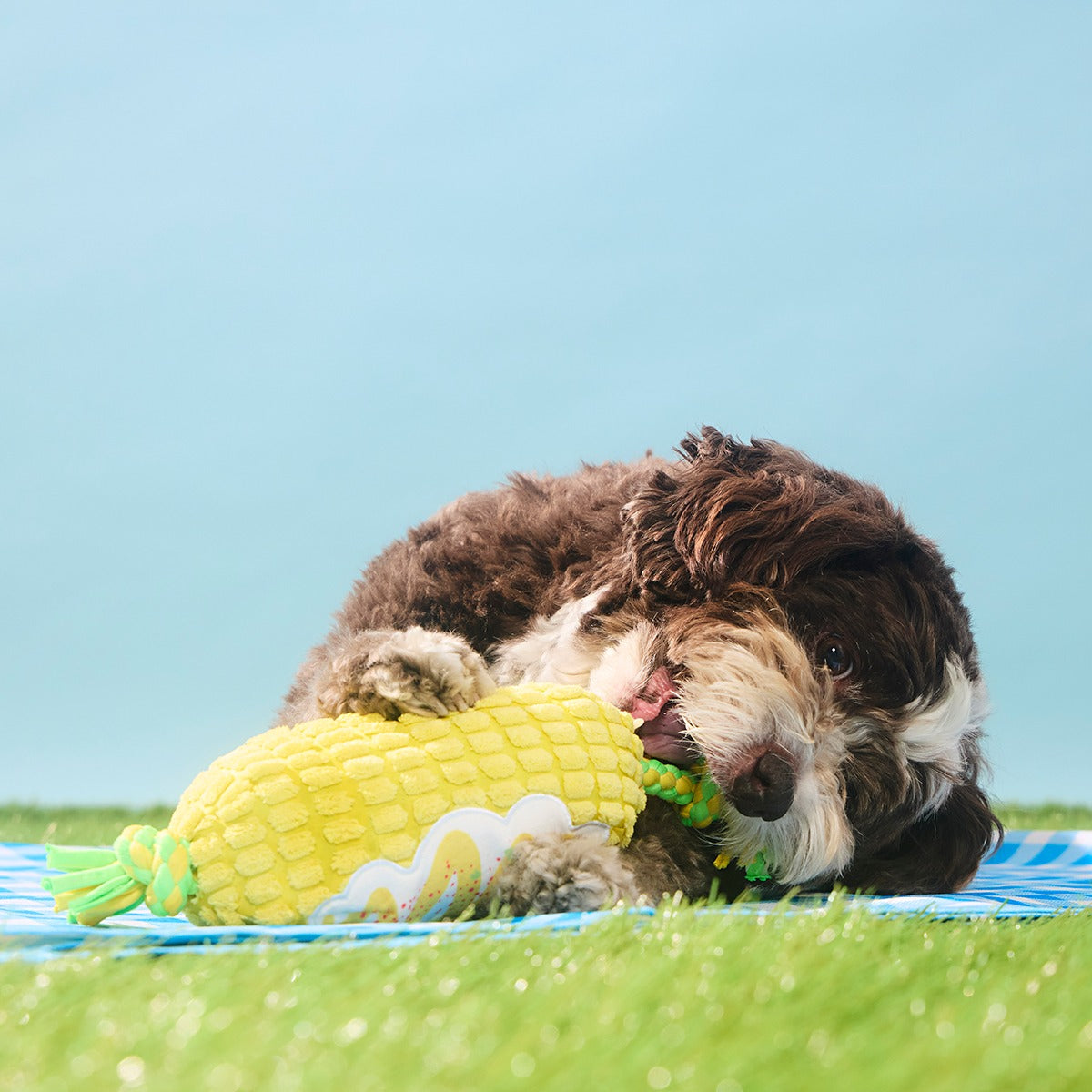 Corn on the Tug Plush Dog Toy