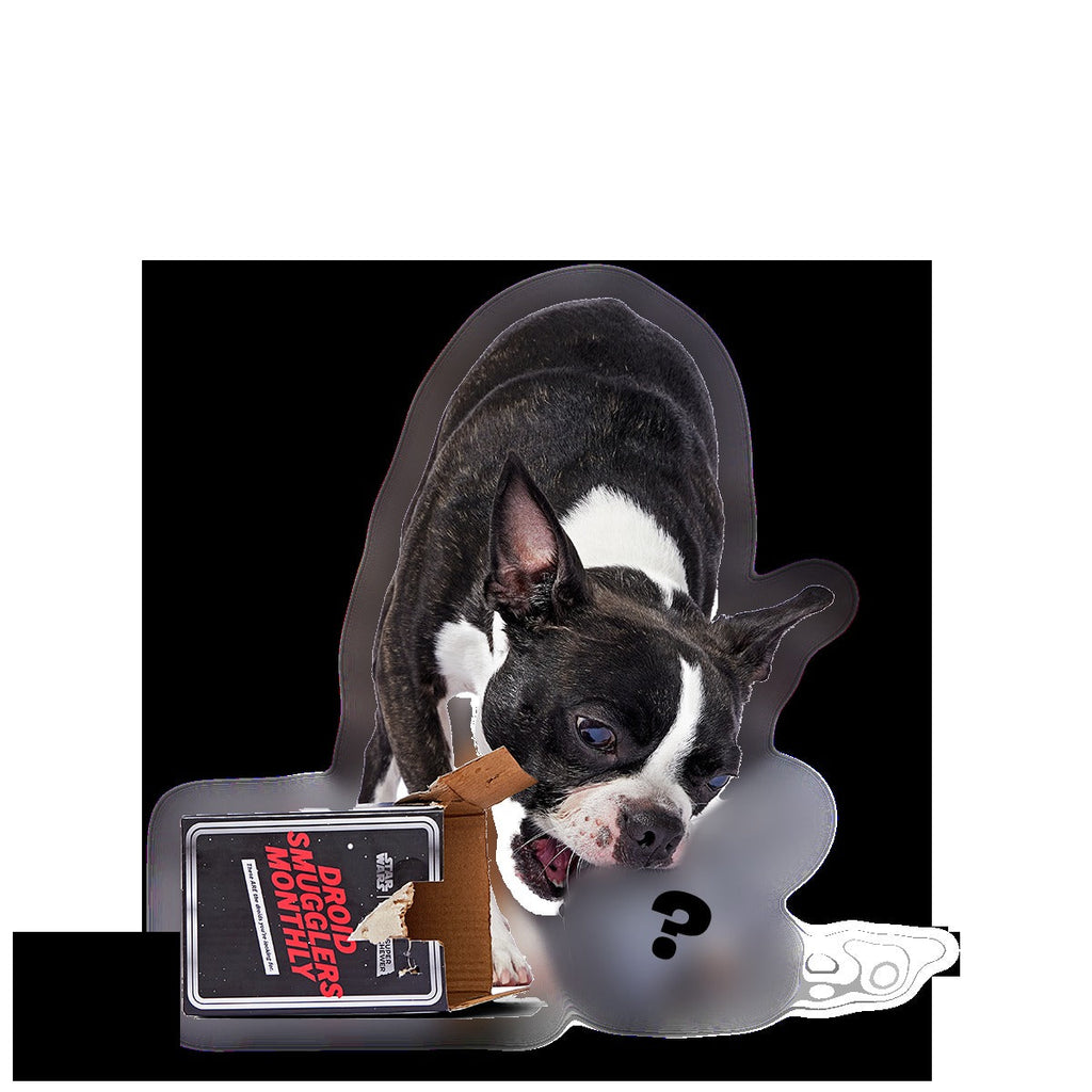 Star WarsTM Droid Smugglers Club, Super Chewer Durable Monthly Dog Toys