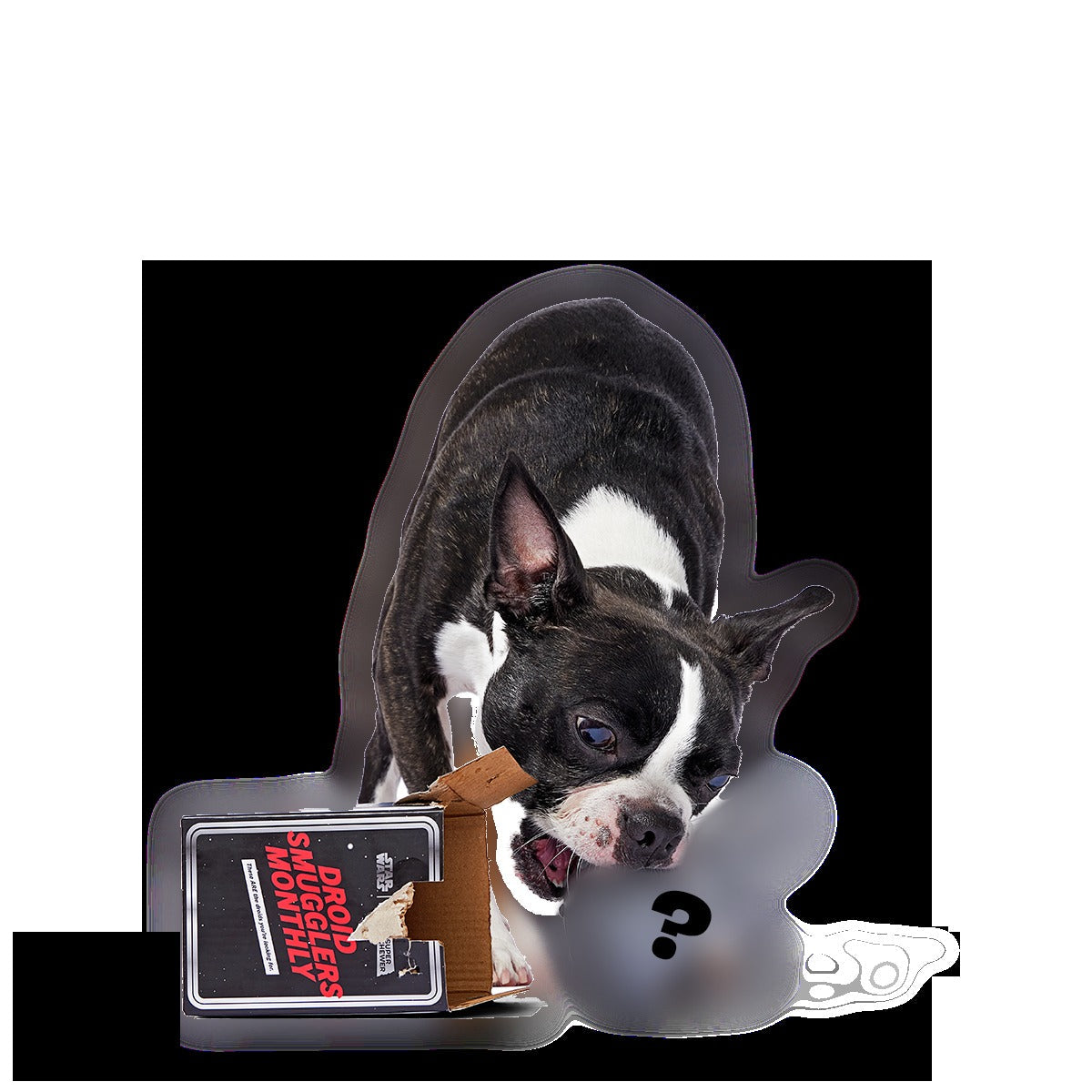 Star WarsTM Droid Smugglers Club, Super Chewer Durable Monthly Dog Toys