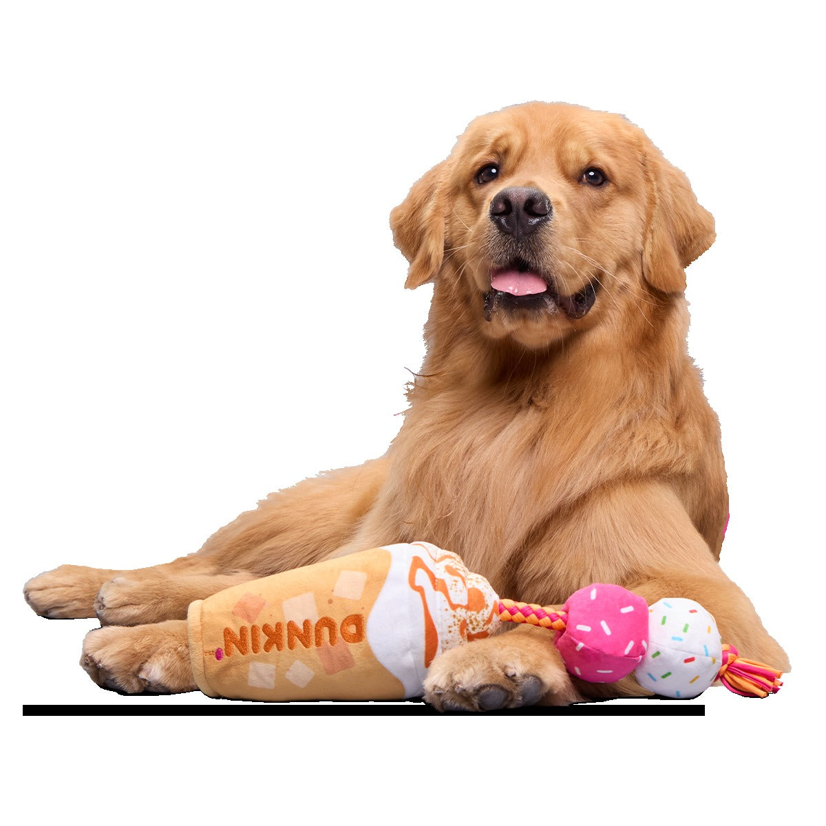 Dunkin'® Pumpkin Signature Latte Plush Tug Dog Toy