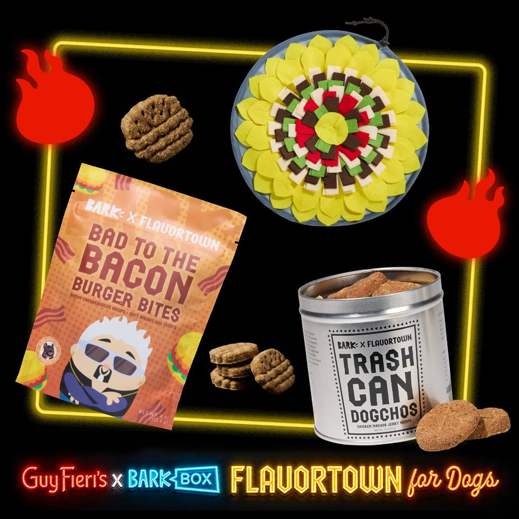 FlavortownTM Trash Can Bundle