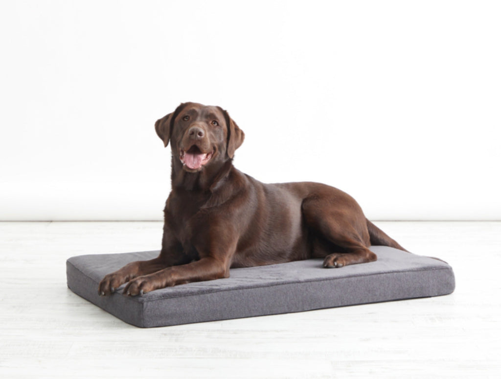 Platform Dog Bed