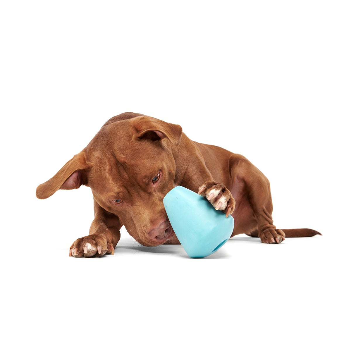 Titan Super Chewer Durable Enrichment Dog Toy