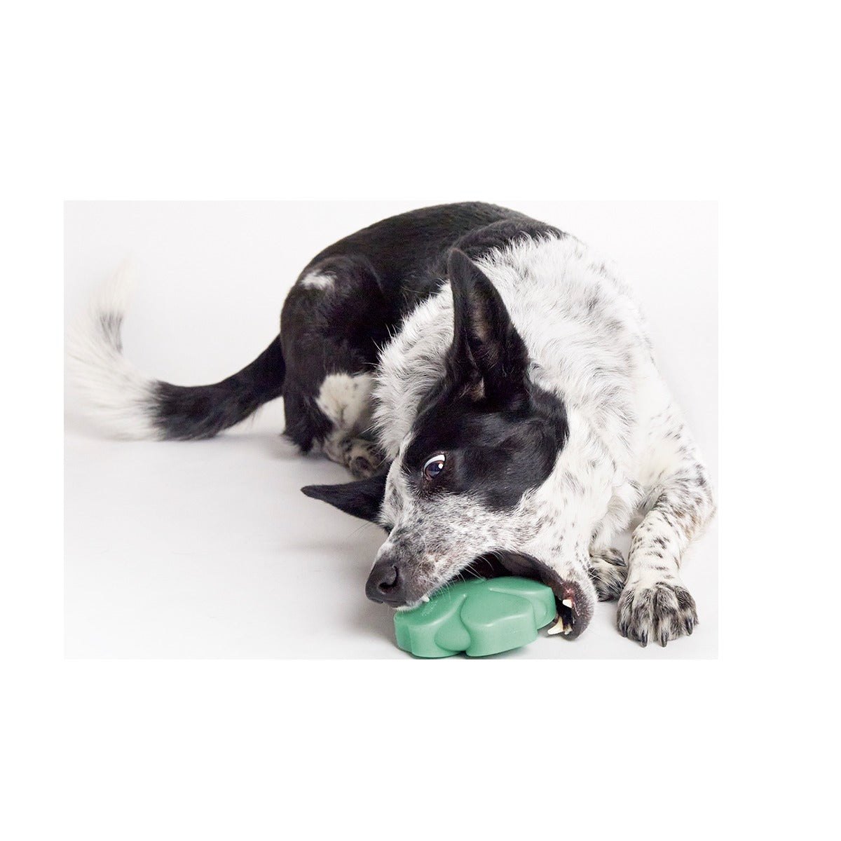 Fur Leaf Clover Super Chewer Durable Gnaw Dog Toy