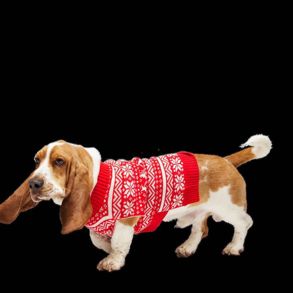 Holiday Sweater Wearable For Dogs