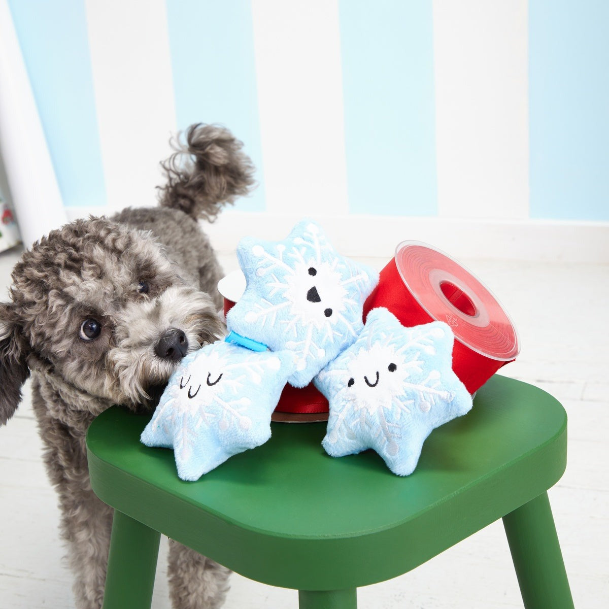 Crystal, Krystle & Cristal Plush Multi-Part Dog Toy