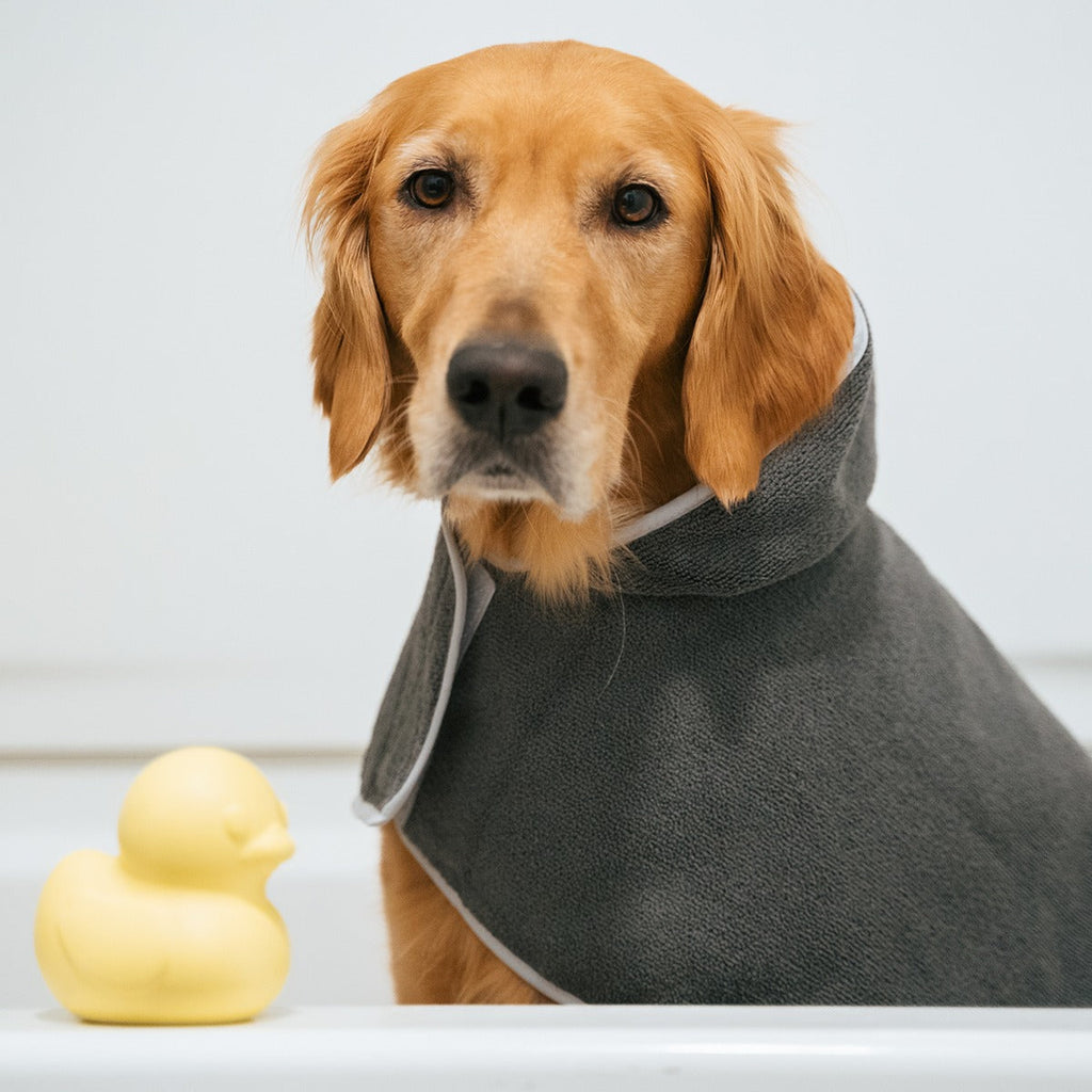 Robe & Duckie Bundle