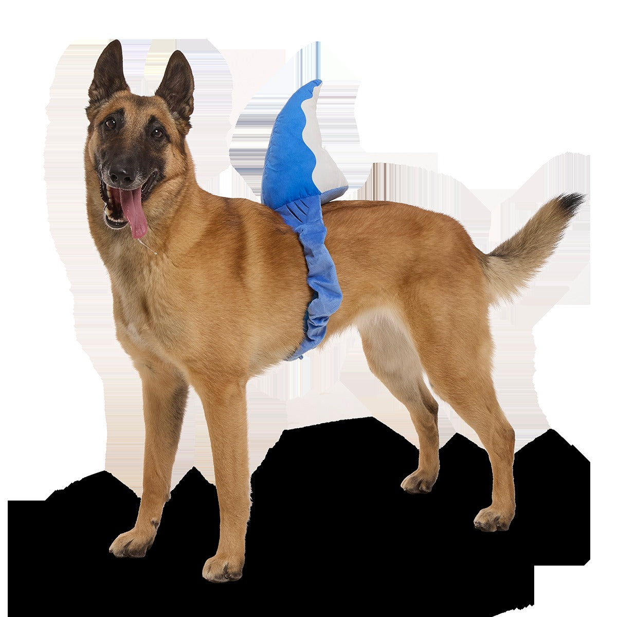 Bark Fin Plush Tug + Wearable Dog Toy