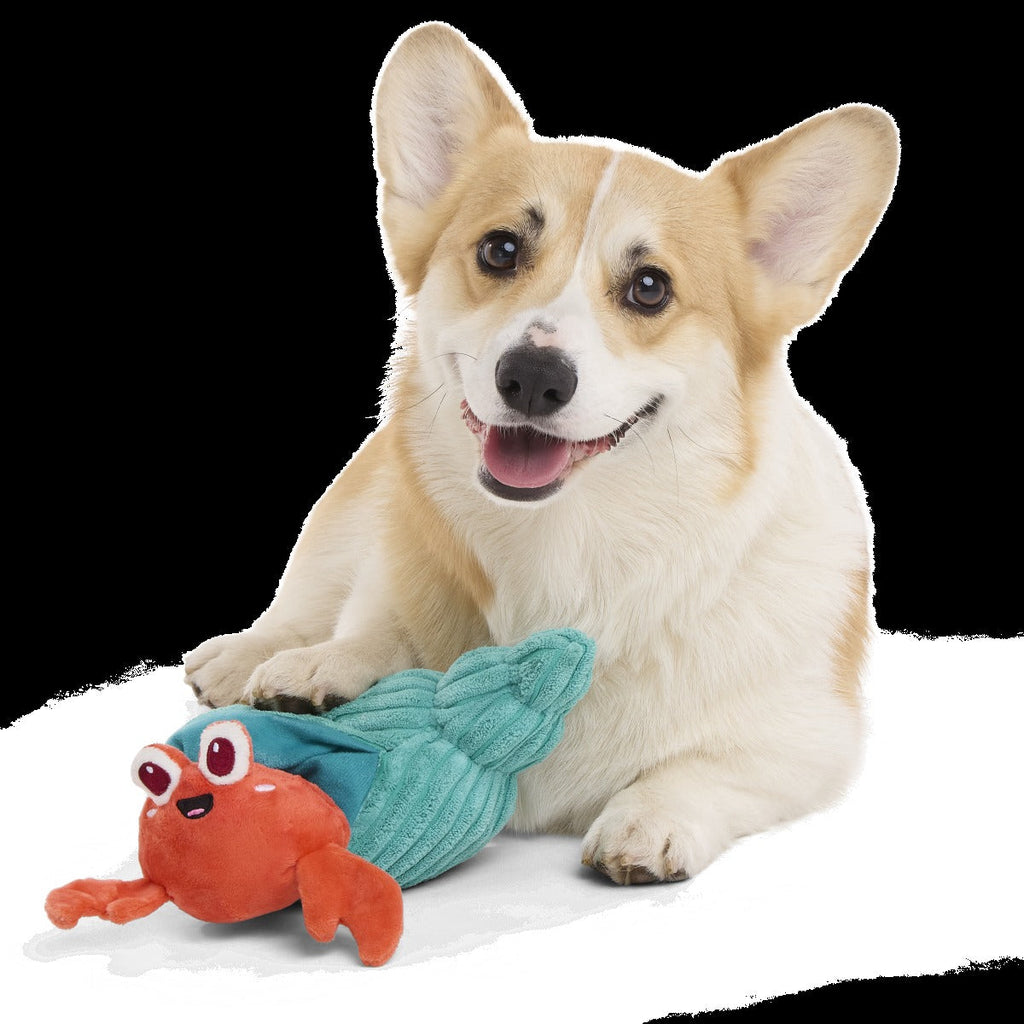 Herman the Hermit Plush Tug Dog Toy