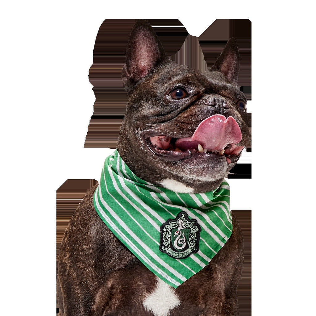 HARRY POTTERTM House Dog Bandana