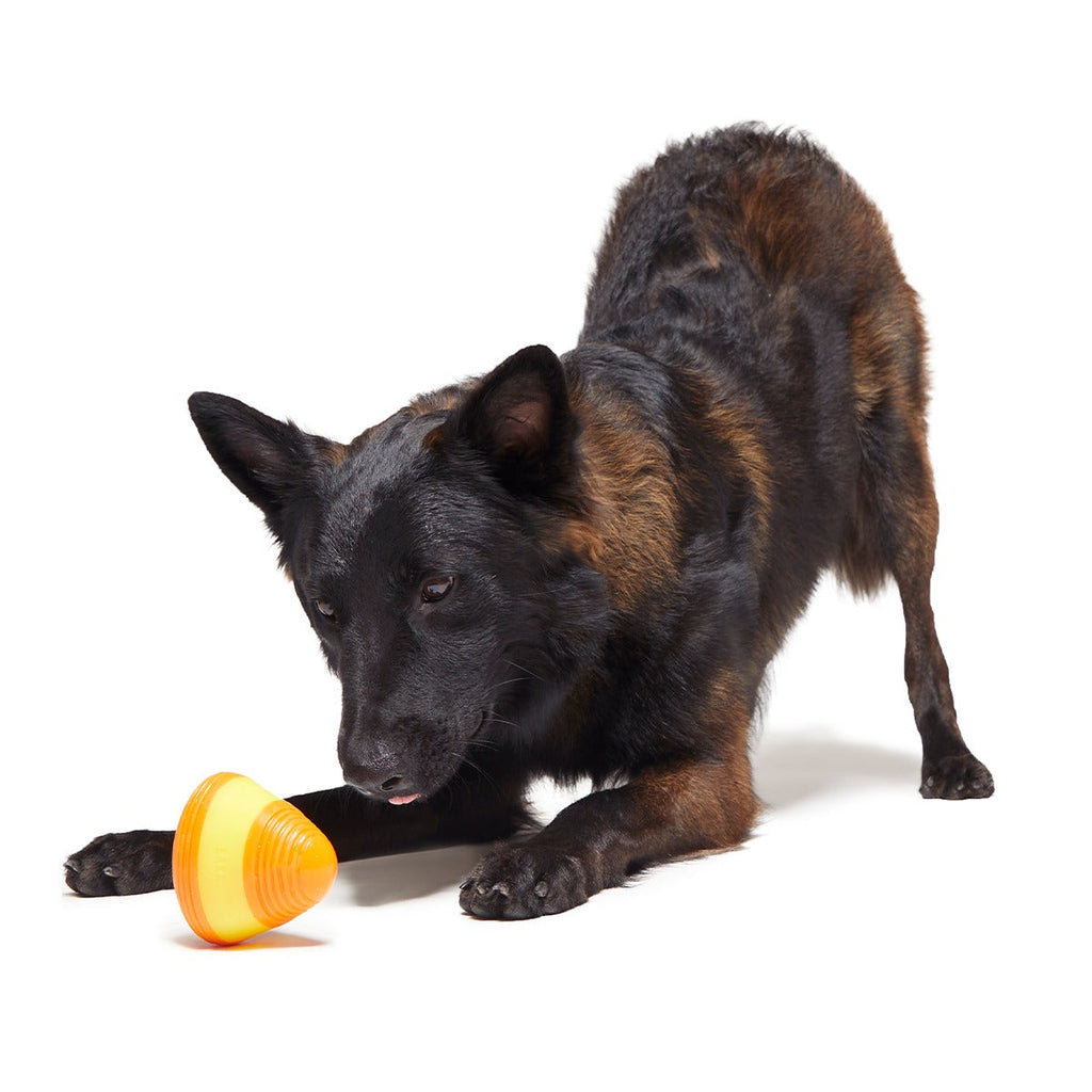Canine Corn Super Chewer Durable Gnaw + Enrichment Dog Toy