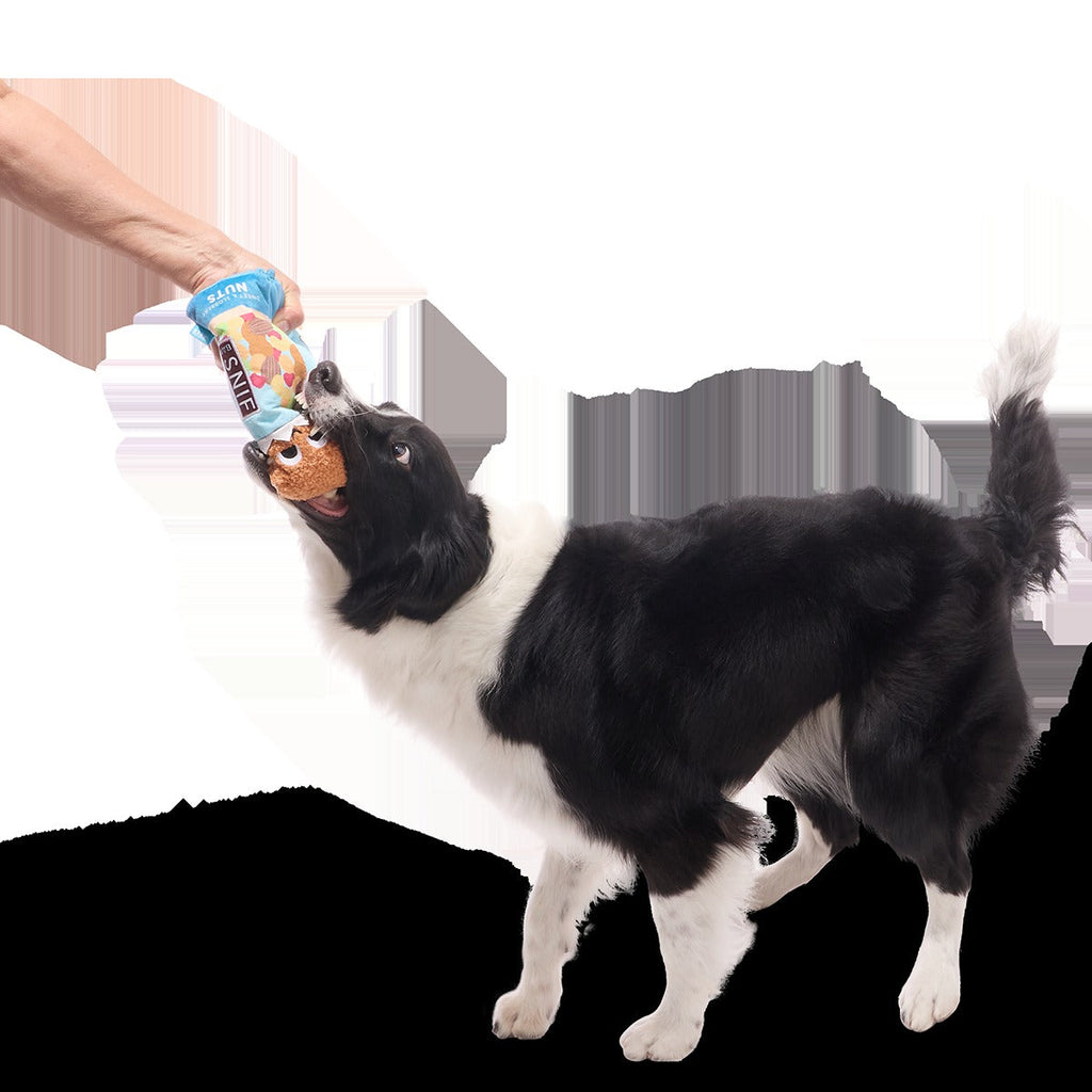 Sniff Bar Plush Tug Dog Toy