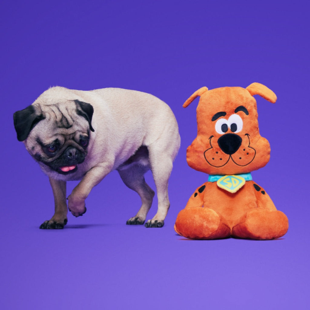 Scooby-DooTM Bundle