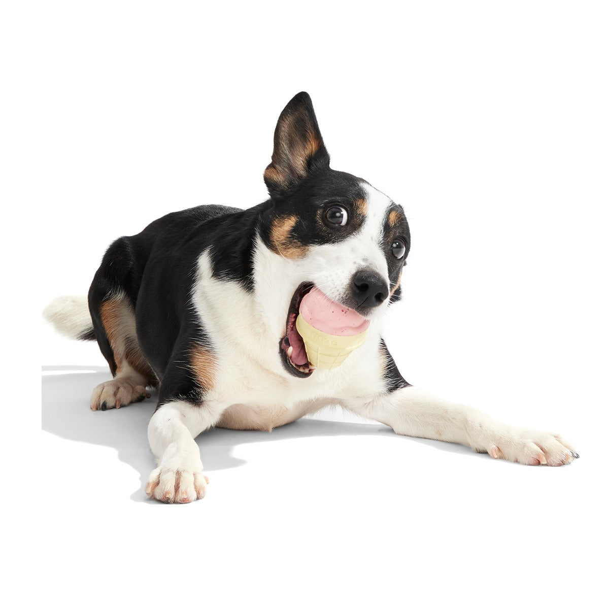 I Squeak Cone Super Chewer Durable Gnaw Dog Toy