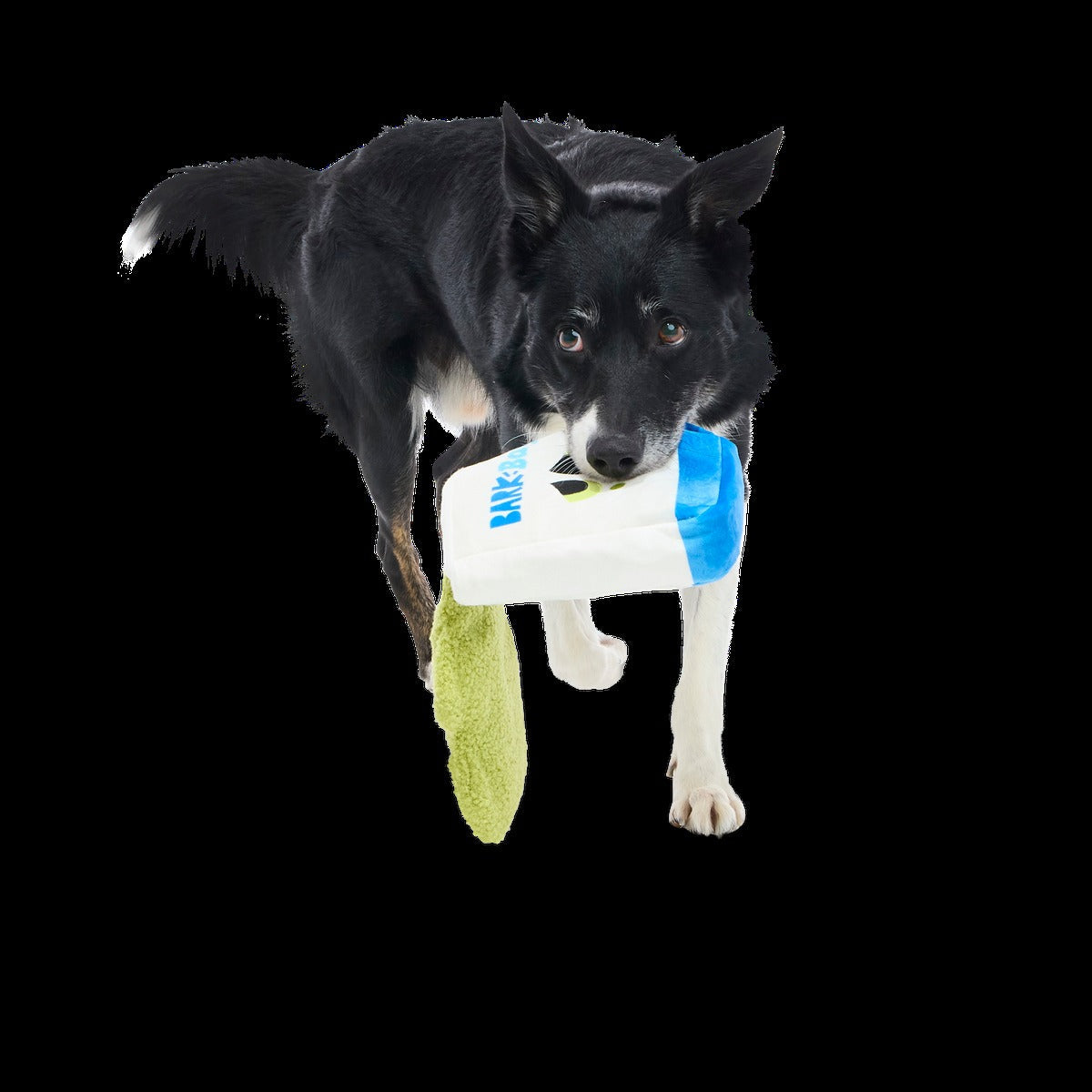 Arf Bag Plush Tug + Enrichment Dog Toy