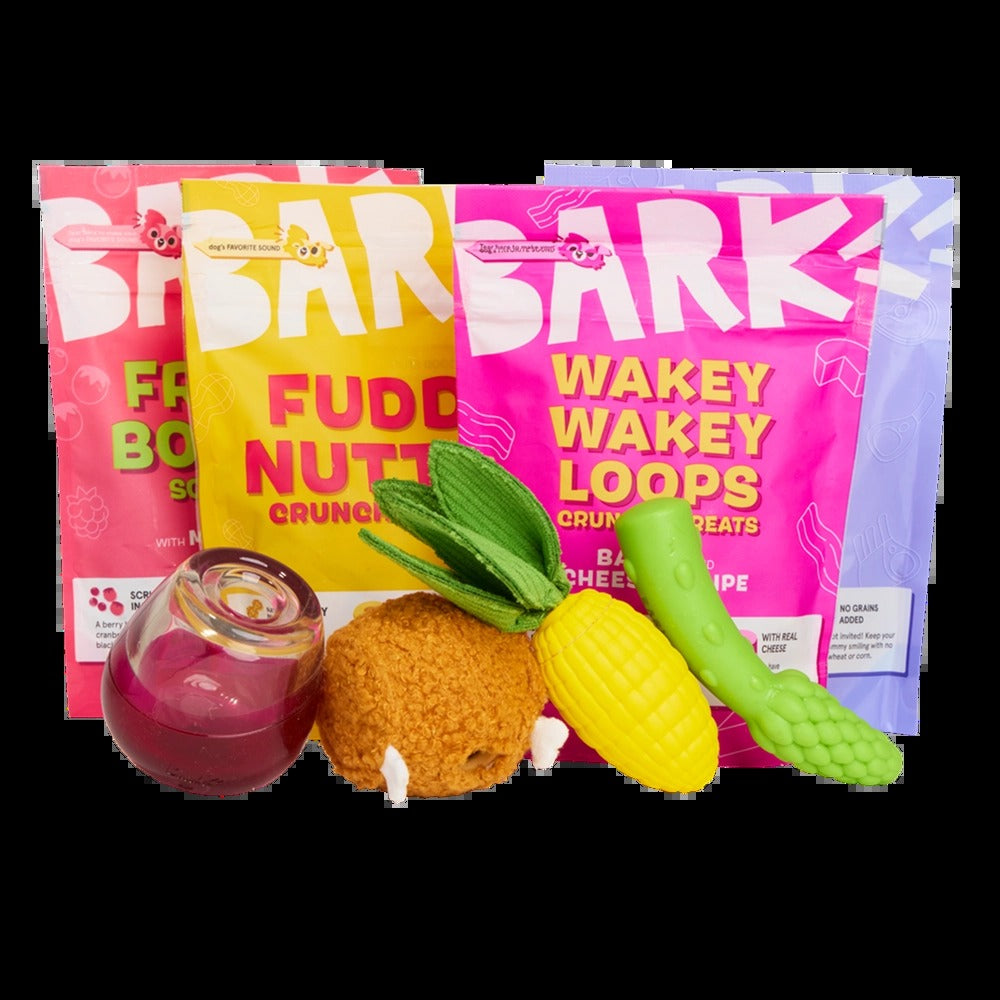 BARK 6 Month Subscription - FREE Extra Toys with Cardboard Box