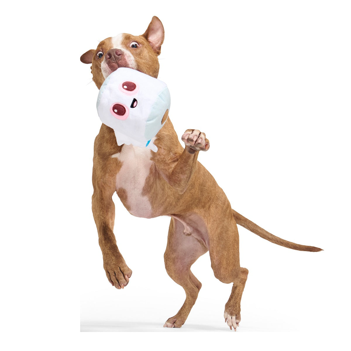 Pottymouth Pete Plush 2-in-1 + Tug Dog Toy