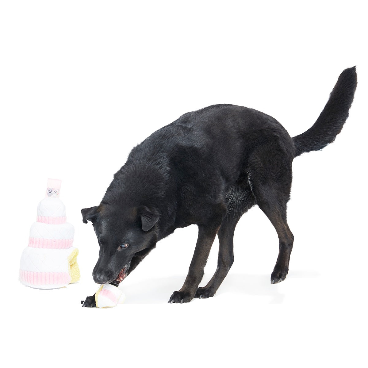 Holy Ratrimony Plush Multi-Part + Enrichment Dog Toy