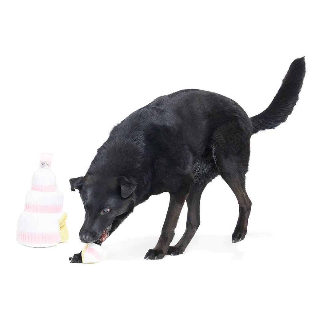 Holy Ratrimony Plush Multi-Part + Enrichment Dog Toy