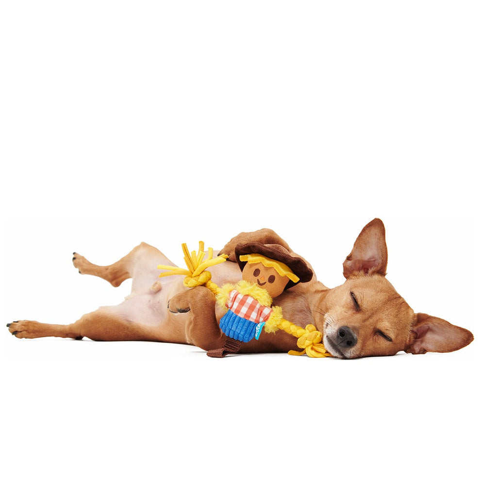 Not Scary Harry Plush Tug Dog Toy