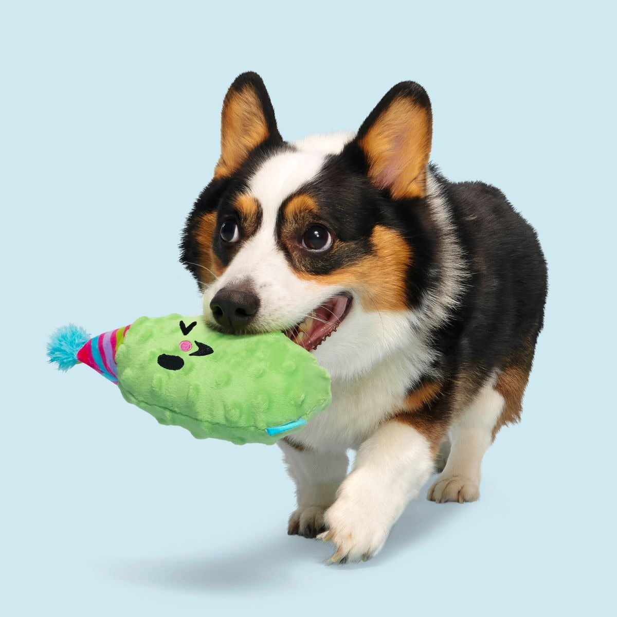 Party Pickle Pedro Plush Tug Dog Toy