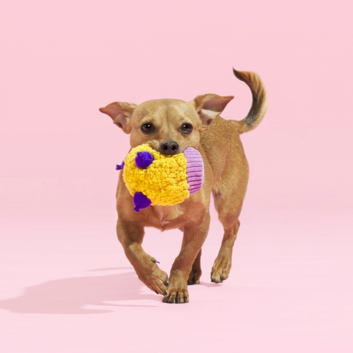 Stuffin' Muffin Plush Fetch Dog Toy