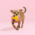 Stuffin' Muffin Plush Fetch Dog Toy
