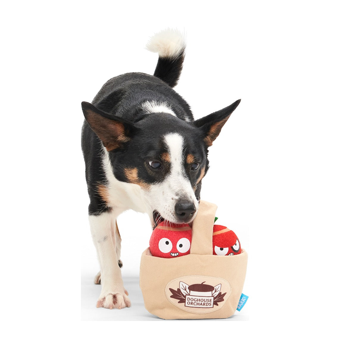 The Munch Bunch Plush Multi-Part + Enrichment + Fetch Dog Toy