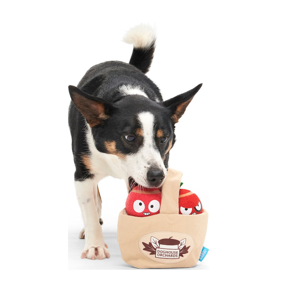 The Munch Bunch Plush Multi-Part + Enrichment + Fetch Dog Toy