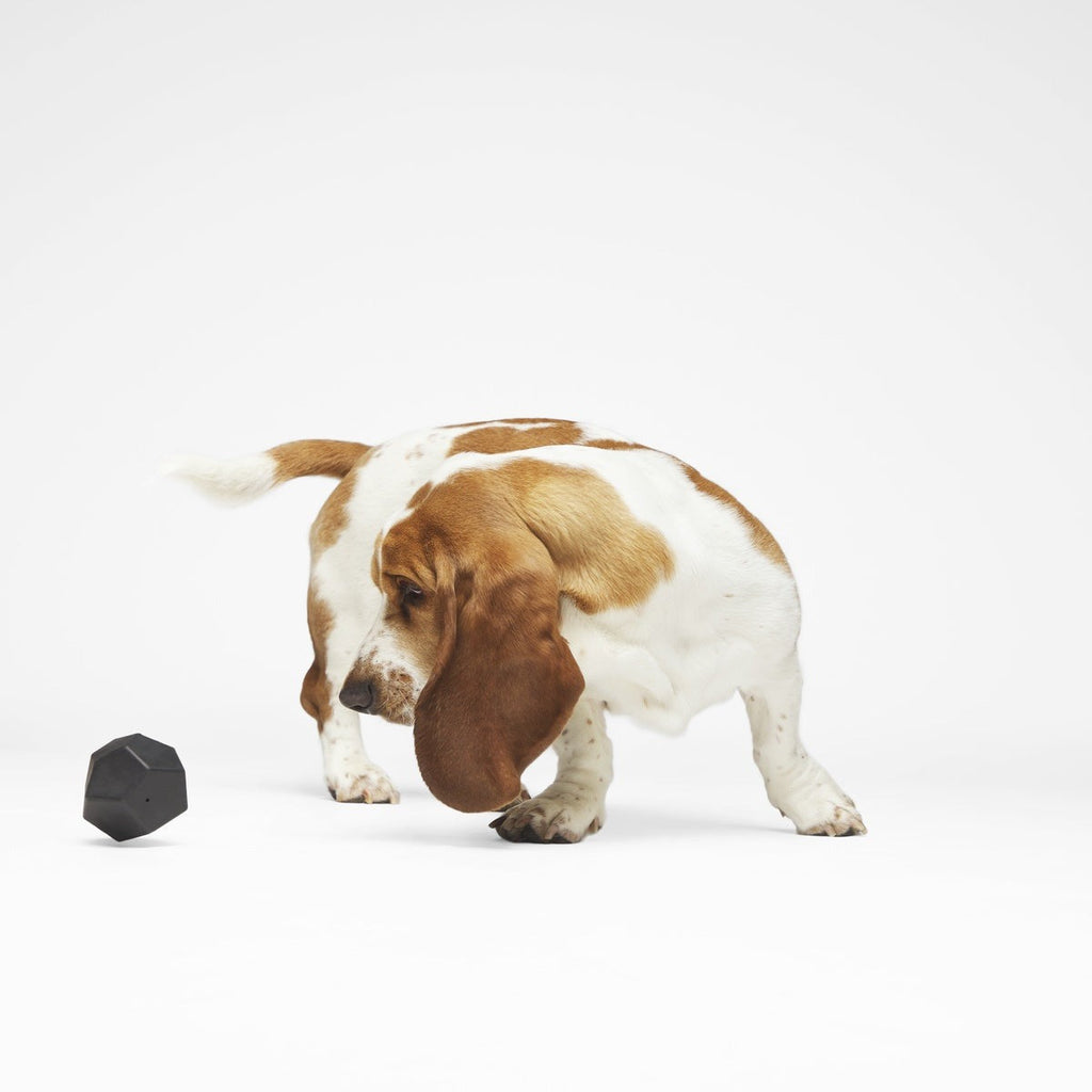 Cool Cool Coal Super Chewer Durable Gnaw Dog Toy