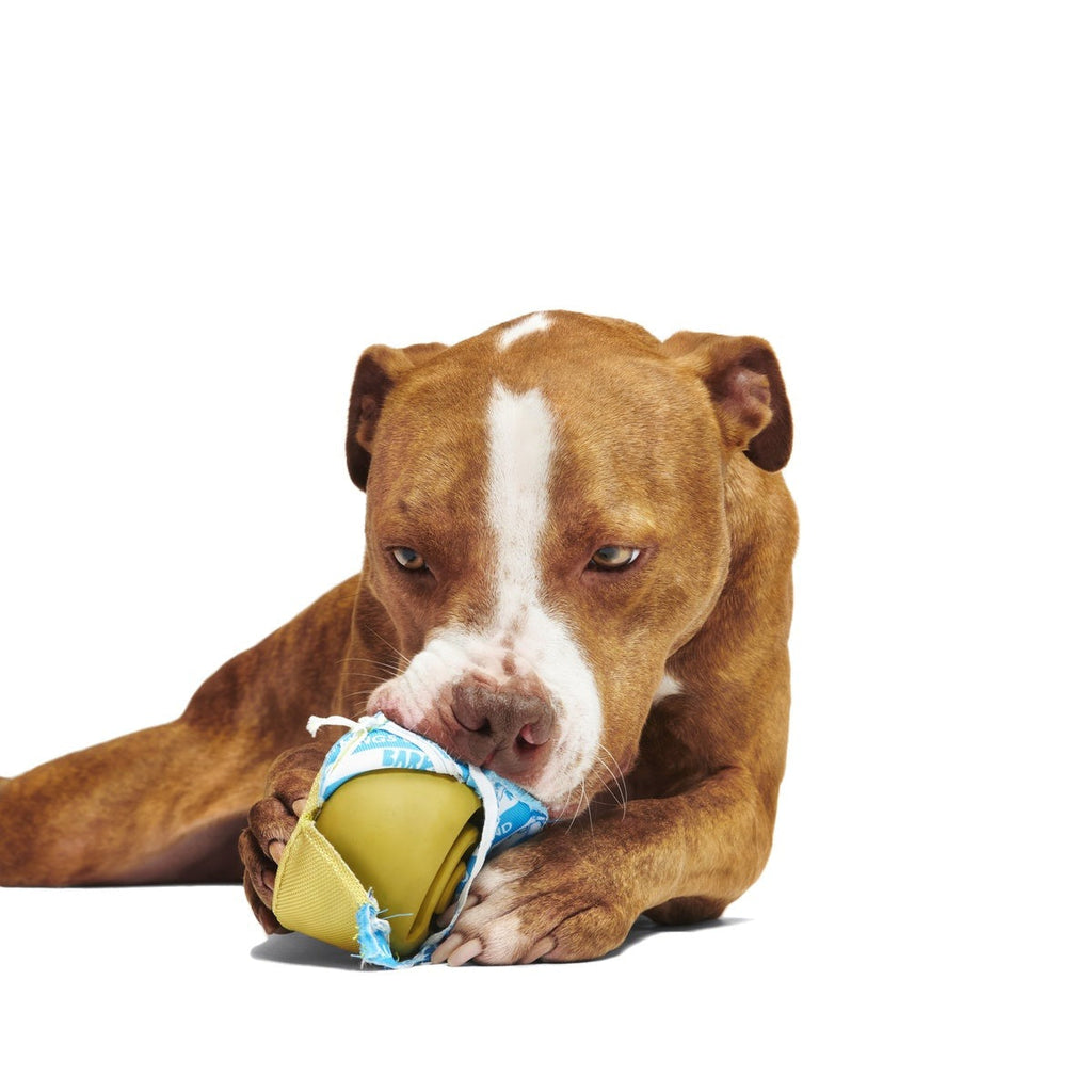 Sniffy Peanut Butter Super Chewer Durable 2-in-1 Enrichment Dog Toy