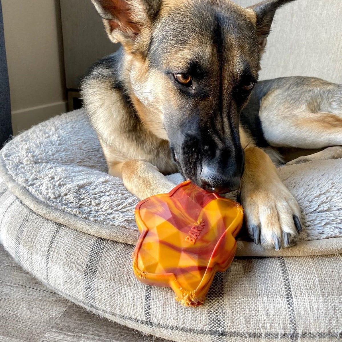 Mighty Maple Leaf Super Chewer Durable Gnaw Dog Toy