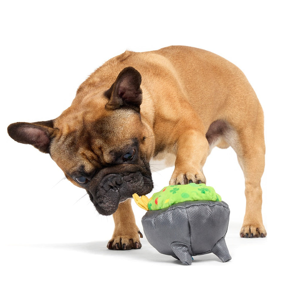 Stop, Guac, & Mole Plush Tug Dog Toy